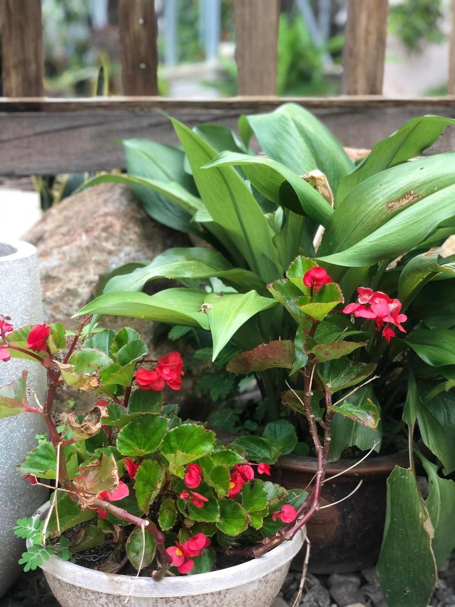 Tran Gia Homestay Nghia Lo Bagian luar foto