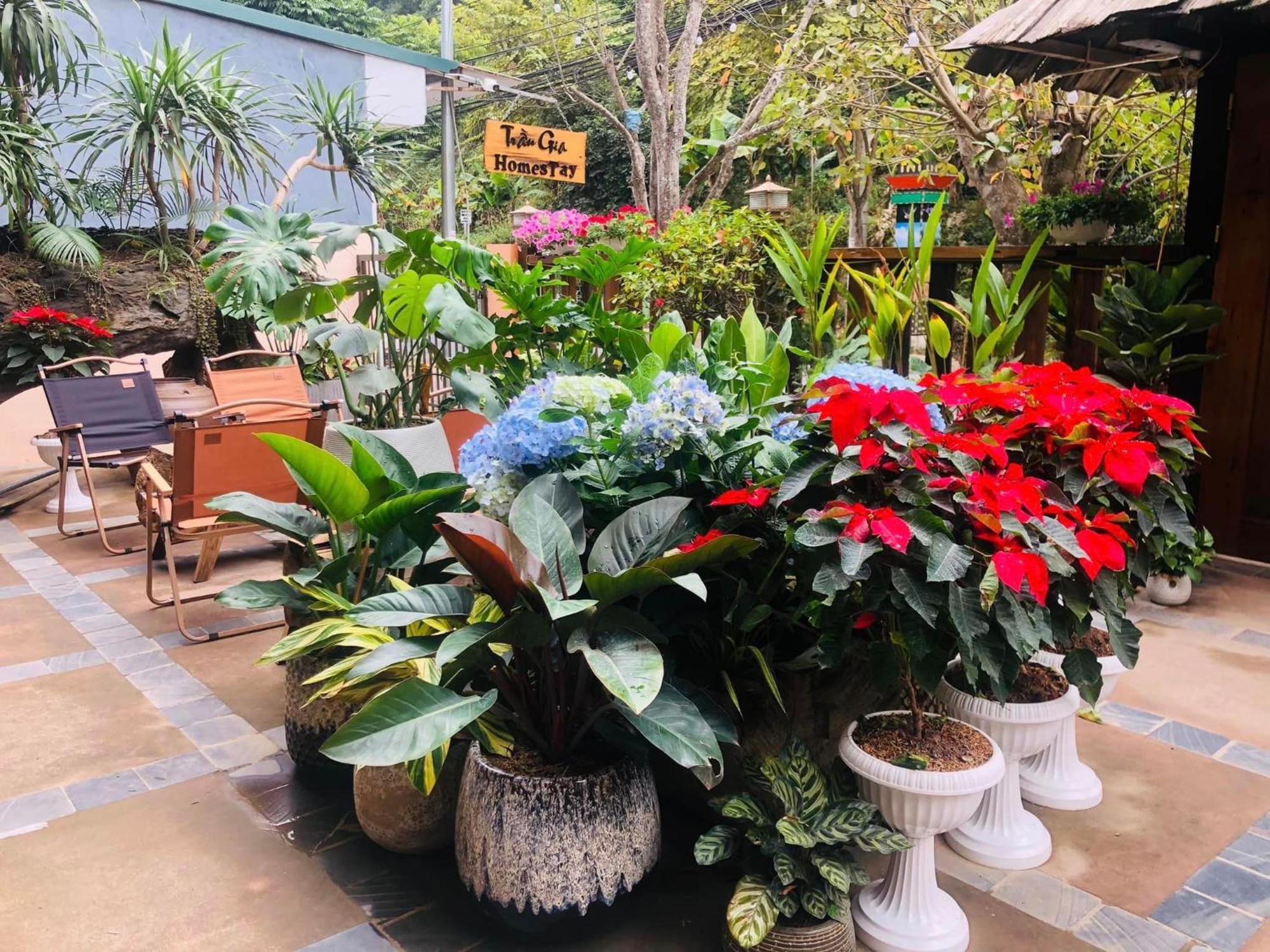 Tran Gia Homestay Nghia Lo Bagian luar foto