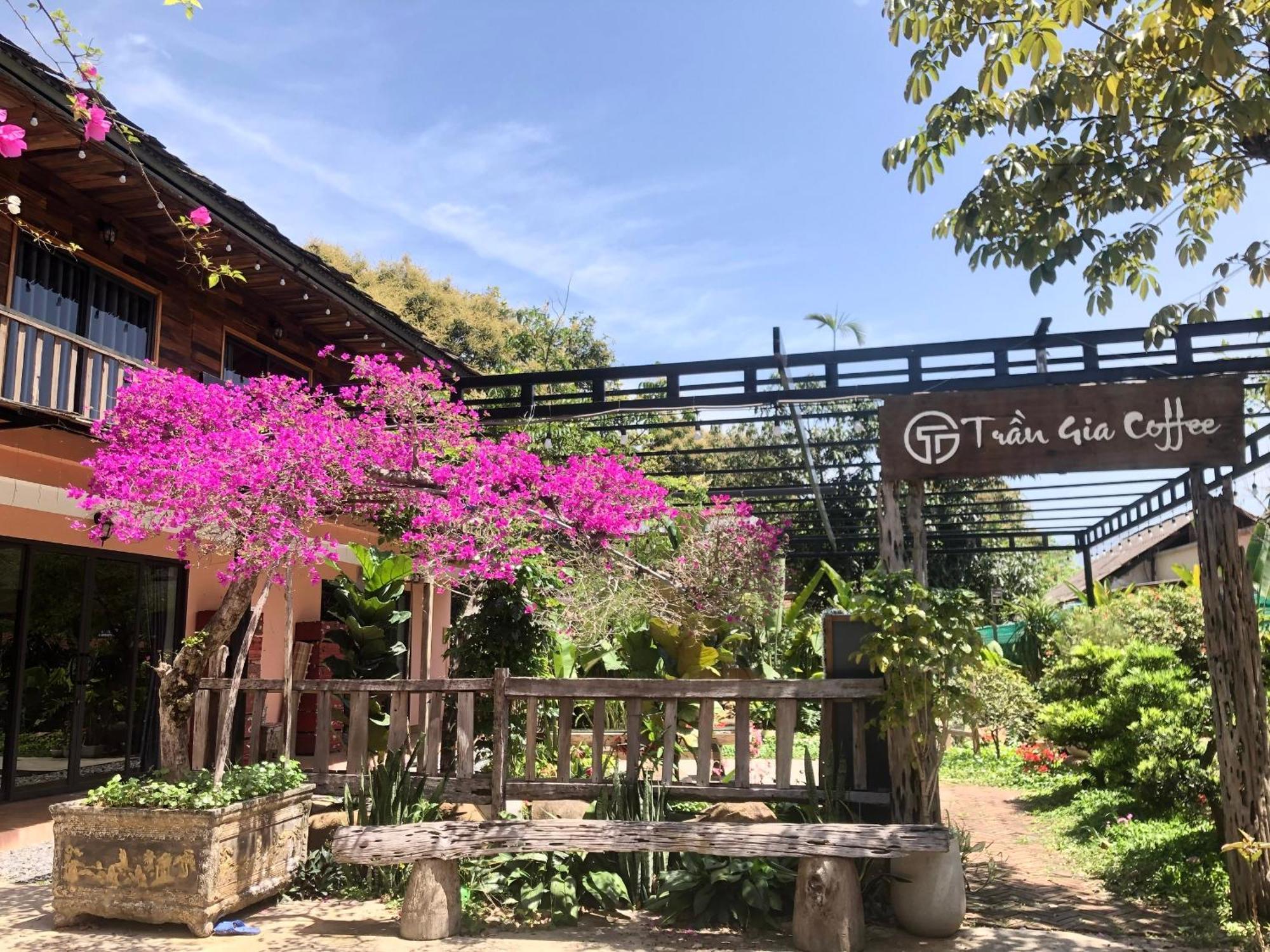 Tran Gia Homestay Nghia Lo Bagian luar foto